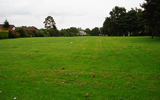 Mount Pleasant